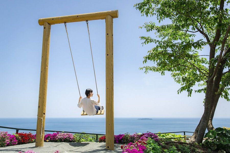 🏞️ 아카오 숲 (아카오 포레스트) 이미지 5